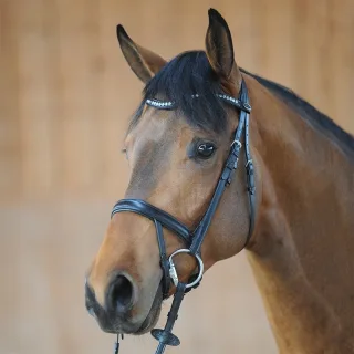 Schwarz