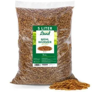 HÜHNER Land Edel Mehlwürmer 800g