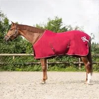 QHP Fleecedecke mit Ornament, Bordeaux/Silber - 145 cm