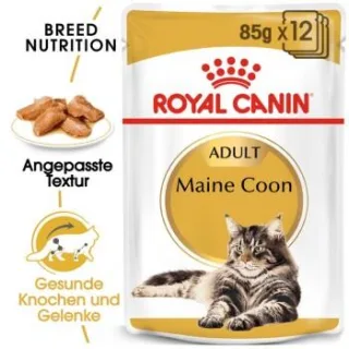 ROYAL CANIN Maine Coon Adult in Soße 48x85 g