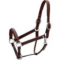 Kentucky Horsewear Halfter Fancy, braun - X-FULL