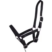 QHP Fohlen Halfter Schwarz - Warmblut-Fohlen