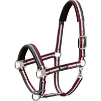 ESKADRON Halfter Pin Buckle VB - anthra-creme-rustic red