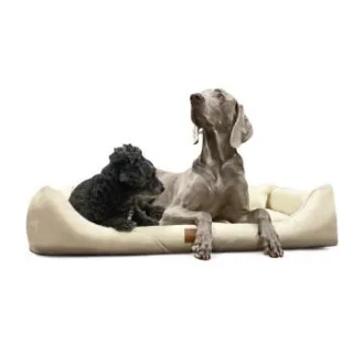 Tierlando ® Orthopädisches Hundebett WILLIAM Easy-Clean | Luxus Hundesofa creme 1,3 m, 22 cm, 1 m