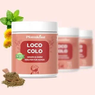 Pfotenkraut Darm Kräuter LOCO-COLO 200g