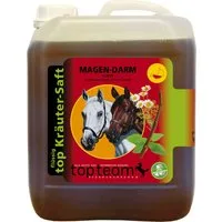 topteam top Magen-Darm Schutz Kräutersaft - 2,50 l