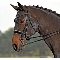 BUSSE Kandare "LUXURY" schwarz/weiß - FULL