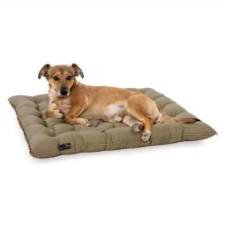 Doctor Bark Pointer Urban Kissen sandbraun XXXL