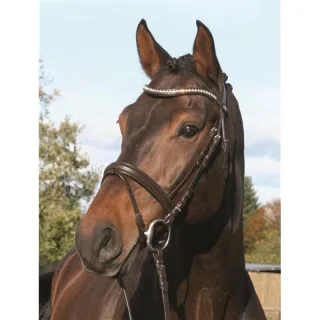 Trense Kentucky