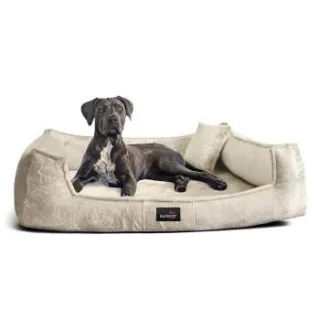 Tierlando ® Orthopädisches Hundebett FRANKLIN Kuscheliger Teddy-Stoff - Hundesofa creme 1,1 m, 22 cm, 90 cm