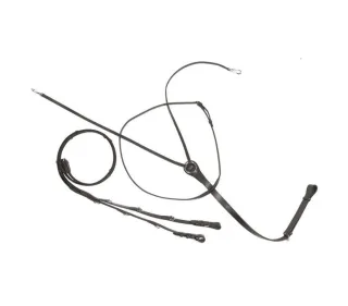 Thiedemann-/Köhler-Zügel