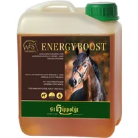 St.Hippolyt WES Energy Boost - 5 l
