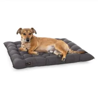Doctor Bark Pointer Urban Kissen grau XL