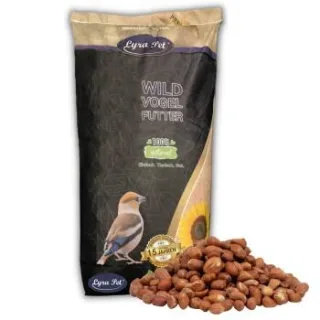 Lyra Pet Erdnusskerne mit Haut 10 kg