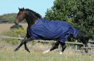 Weidedecke Irish Turnout light 50gr