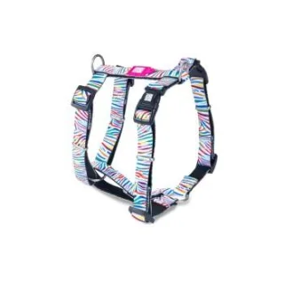 Max & Molly H-Geschirr - Magic Zebra XS