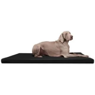 Tierlando CARLOS Ortho-Medic - Orthopädische Hundematte schwarz 1,5 m, 6 cm, 1 m