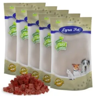 Lyra Pet Entenbrustwürfel 5x1 kg