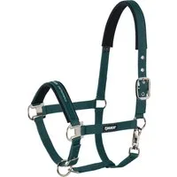 ESKADRON Halfter Pin Buckle WB - racinggreen