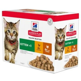 Hill's Science Plan Kitten Multipack Truthahn und Huhn 24x85 g