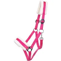 QHP Halfter Cali, fuchsia - Shetty