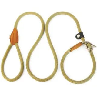 Rudelkönig Retrieverleine mit Zugstopp, Moxonleine Hundeleine mit Halsband