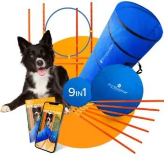 PfotenWunder® 9-in-1-Agility Set Hunde groß + 21 Min. Hundeschule