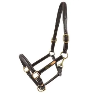 Hans Melzer Horse Equipment Hans Melzer Halfter Sahrendorf braun/messing WB (Warmblut)