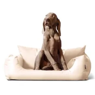 Tierlando NEMO Hundebett Hundesofa S M L Hundekorb Katzenbett 65 80 100cm creme 80 cm, 22 cm, 60 cm