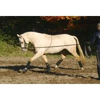 BUSSE Longierhilfe COTTON - XL