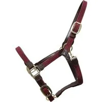 Kentucky Horsewear Nylon-Halfter geflochten bordeaux - WB