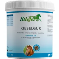 Stiefel Kieselgur - 1 kg