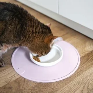 LucyBalu CIRCLE Katzen Napfunterlage flieder
