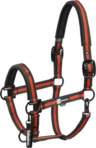 Halfter Double Pin Dynamic