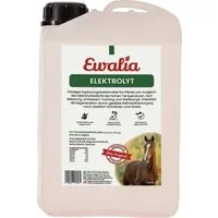 Ewalia Elektrolyt - 3 l