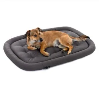 Doctor Bark Pointer Hundekissen grau M
