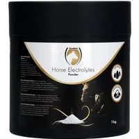 Excellent Horse Electrolytes Powder  - 1 kg