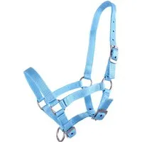 QHP Fohlen Halfter Baby-Blau - Pony-Fohlen