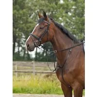 BUSSE Martingal BASIC-PRO - 1 Stk