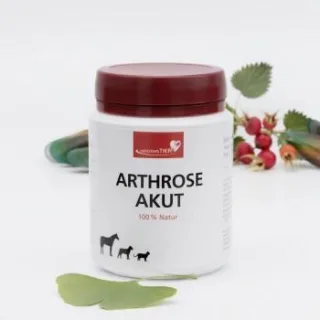 HerzensTier Arthrose akut 25 ml