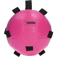 Spieleball 'Excellent Horse Play Ball' - Rosa