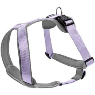 Hunter Geschirr Neopren lila/ grau M-L