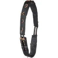 Waldhausen Longiergurt Rose/schwarz - WB