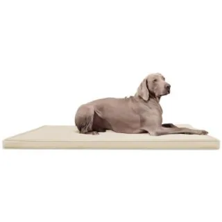 Tierlando CARLOS Ortho-Medic - Orthopädische Hundematte creme 1,5 m, 6 cm, 1 m