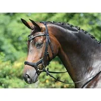 BUSSE Trense "MODENA" - COB