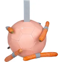 Waldhausen Karottenball 18 cm - linnea rosa