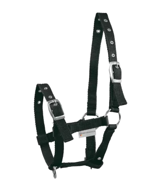 Fohlenhalfter TRIPLE