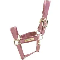 Kentucky Horsewear Velvet Halfter old rose - Full