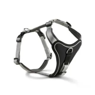 Wolters Professional Comfort Hundegeschirr grau XL