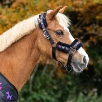 QHP Halfter-Set Isalyn, Unicorn Dream - COB